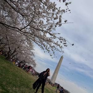 Meet your Posher, Faii